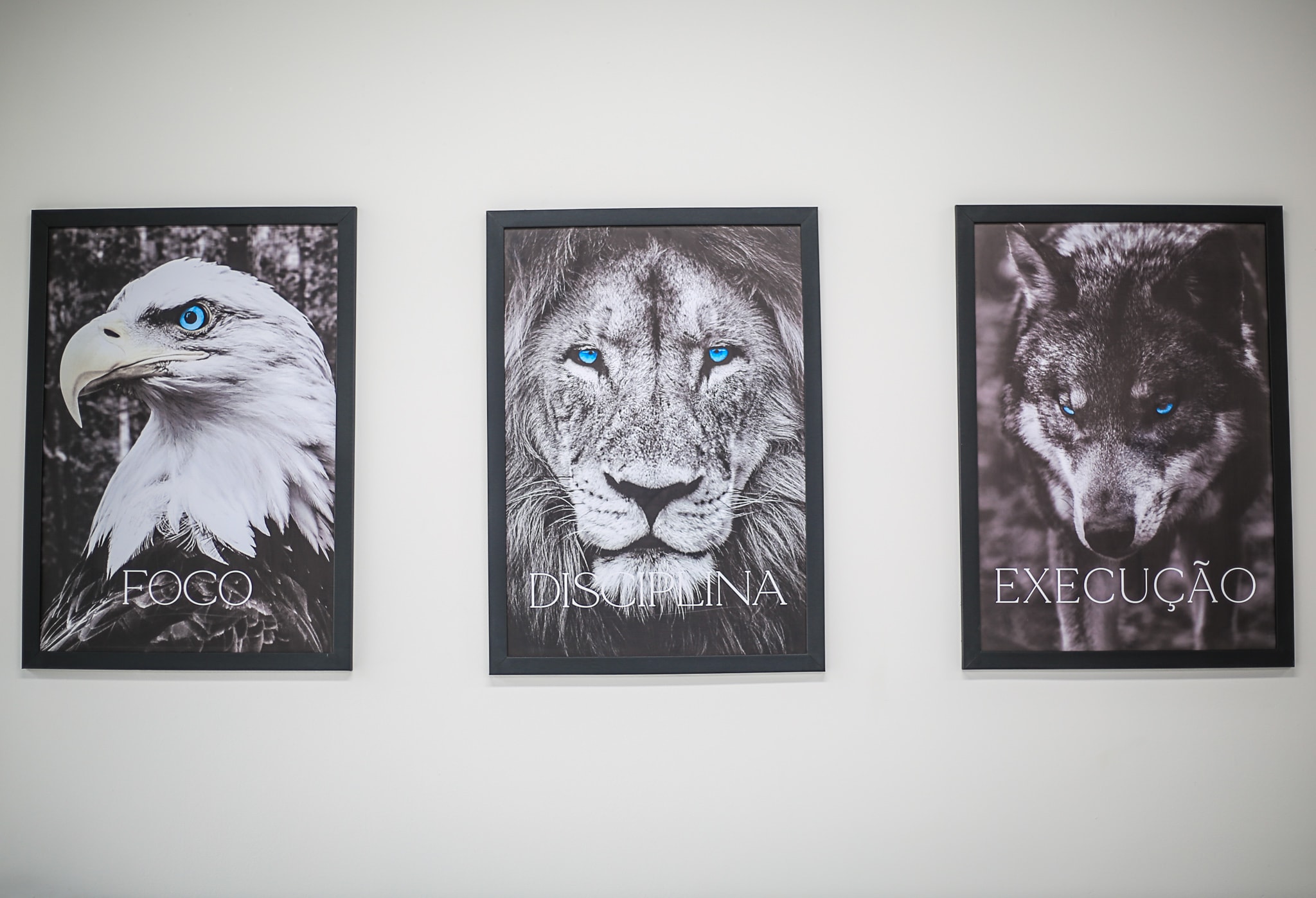 Quadros decorativos do ambiente da MC Barbearia: foco, disciplina, execução